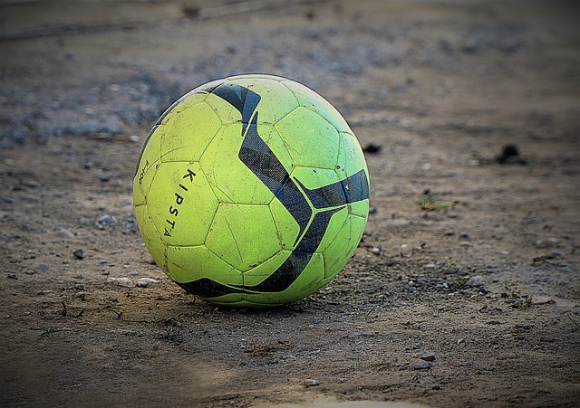 河北队在本 河北队在本