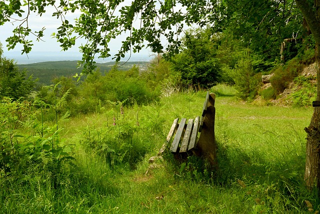 定位和战术 定位和战术
