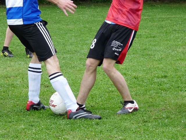 给予国产教 给予国产教